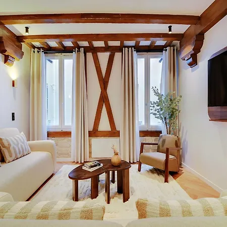 Luxury In The Heart Or Paris-notre Dame Apartment Paris