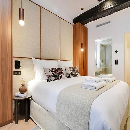 Luxury In The Heart Or Paris-notre Dame *
